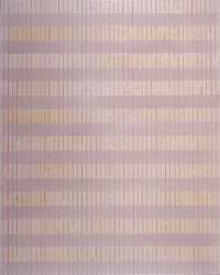 "Bleeding Line" | 60"x48" | acrylic | 2003