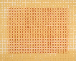 "Disposition" | 48"x60" | acrylic | 2007
